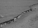 IMG 8935 : Ladakh