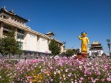20190831-IMG 0396 : 2019, Mongolei, Mongolia, Ulaan Baator
