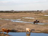 20190831-IMG 0411 : 2019, Mongolei, Mongolia