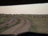 20190831-IMG 0422 : 2019, Mongolei, Mongolia