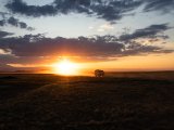20190831-IMG 0435 : 2019, Mongolei, Mongolia