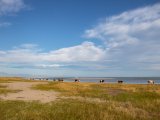 20190901-IMG 0458 : 2019, Mongolei, Mongolia