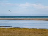 20190901-IMG 0468 : 2019, Mongolei, Mongolia