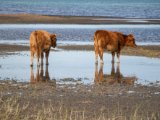 20190901-IMG 0477 : 2019, Mongolei, Mongolia