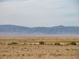 20190901-IMG 0487 : 2019, Mongolei, Mongolia