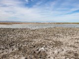 20190901-IMG 0496 : 2019, Mongolei, Mongolia