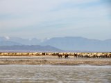 20190901-IMG 0497 : 2019, Mongolei, Mongolia