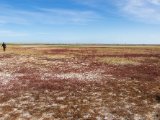 20190901-IMG 0500 : 2019, Mongolei, Mongolia