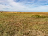 20190901-IMG 0503 : 2019, Mongolei, Mongolia