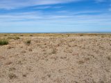20190901-IMG 0507 : 2019, Mongolei, Mongolia
