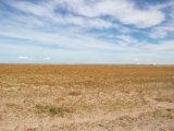 20190901-IMG 0546 : 2019, Mongolei, Mongolia