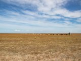 20190901-IMG 0549 : 2019, Mongolei, Mongolia