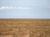 20190901-IMG 0551 : 2019, Mongolei, Mongolia