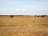 20190901-IMG 0569 : 2019, Mongolei, Mongolia