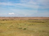 20190901-IMG 0577 : 2019, Mongolei, Mongolia