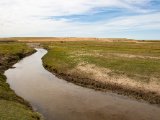 20190901-IMG 0580 : 2019, Mongolei, Mongolia