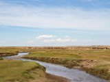 20190901-IMG 0584 : 2019, Mongolei, Mongolia