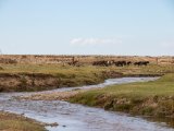 20190901-IMG 0591 : 2019, Mongolei, Mongolia