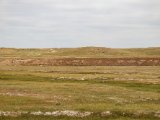 20190901-IMG 0608 : 2019, Mongolei, Mongolia