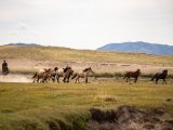 20190901-IMG 0614 : 2019, Mongolei, Mongolia