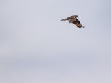 20190901-IMG 0630 : 2019, Mongolei, Mongolia