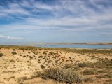 20190901-IMG 0659 : 2019, Mongolei, Mongolia