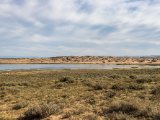 20190901-IMG 0660 : 2019, Mongolei, Mongolia