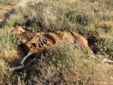 20190901-IMG 0663 : 2019, Mongolei, Mongolia