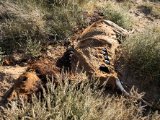 20190901-IMG 0664 : 2019, Mongolei, Mongolia