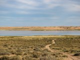 20190901-IMG 0668 : 2019, Mongolei, Mongolia