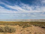 20190901-IMG 0669 : 2019, Mongolei, Mongolia