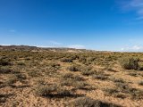 20190901-IMG 0671 : 2019, Mongolei, Mongolia