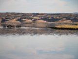 20190901-IMG 0676 : 2019, Mongolei, Mongolia