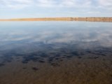 20190901-IMG 0680 : 2019, Mongolei, Mongolia