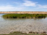 20190902-IMG 0698 : 2019, Mongolei, Mongolia