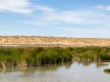 20190902-IMG 0699 : 2019, Mongolei, Mongolia