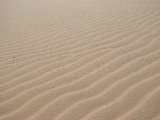 20190902-IMG 0704 : 2019, Mongolei, Mongolia