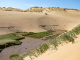 20190902-IMG 0708 : 2019, Mongolei, Mongolia