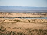 20190902-IMG 0715 : 2019, Mongolei, Mongolia