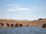20190902-IMG 0722 : 2019, Mongolei, Mongolia