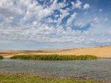 20190902-IMG 0725 : 2019, Mongolei, Mongolia