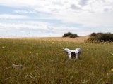 20190902-IMG 0744 : 2019, Mongolei, Mongolia