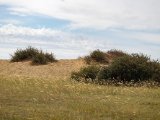 20190902-IMG 0745 : 2019, Mongolei, Mongolia