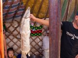 20190902-IMG 0780 : 2019, Mongolei, Mongolia