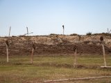 20190903-IMG 0797 : 2019, Mongolei, Mongolia