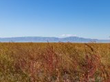 20190903-IMG 0822 : 2019, Mongolei, Mongolia