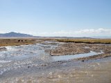 20190903-IMG 0845 : 2019, Mongolei, Mongolia