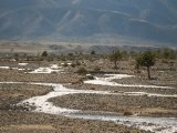 20190903-IMG 0861 : 2019, Mongolei, Mongolia