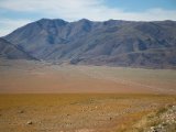 20190903-IMG 0873 : 2019, Mongolei, Mongolia