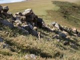 20190903-IMG 0920 : 2019, Mongolei, Mongolia